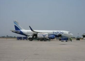 Indigo - Pic credits: Rahul Mishra rahuulmiishra / Unsplash