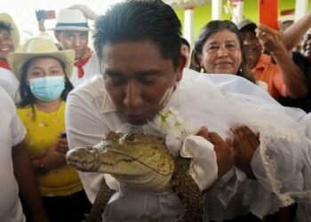 Mexico Mayor marries alligator-like reptile