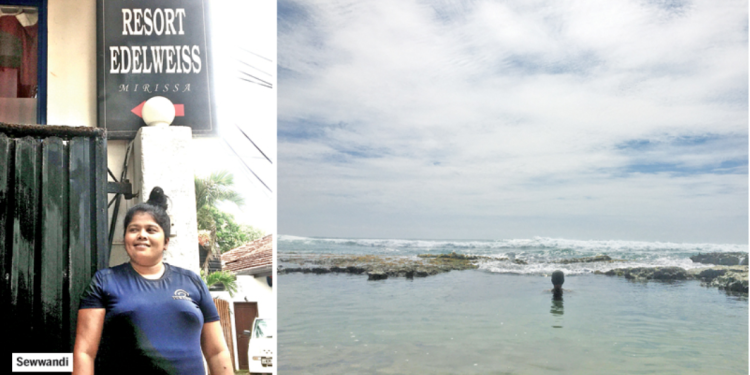 The Edelweiss of Mirissa