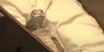 Two ‘non-human alien corpses’ unveiled in Mexico’s Congress (Video)