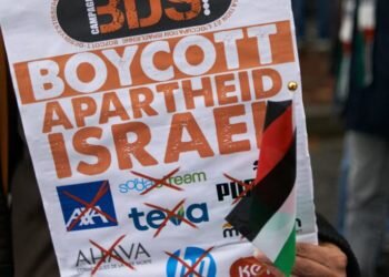 A woman holds a placard for the boycott of Israeli products, in Toulouse, France, on November 4, 2023 [Alain Pitton/NurPhoto via Getty Images]