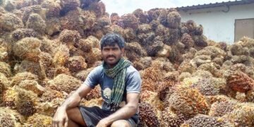 Need to lift ban on oil palm cultivation