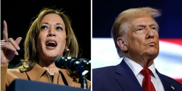 US election: What can South Asia expect?